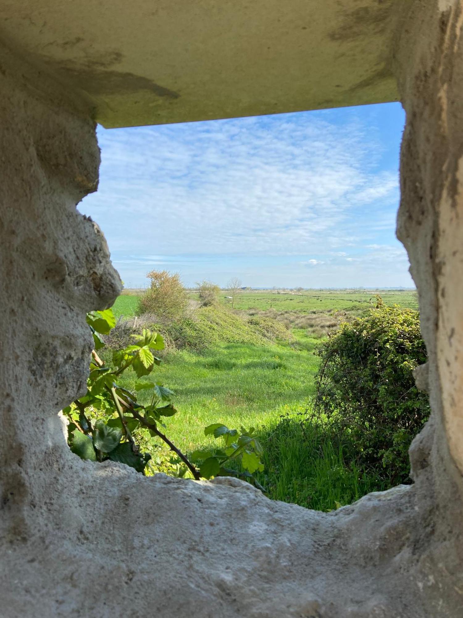 Chateau De Feusse Saint-Just-Luzac Dış mekan fotoğraf