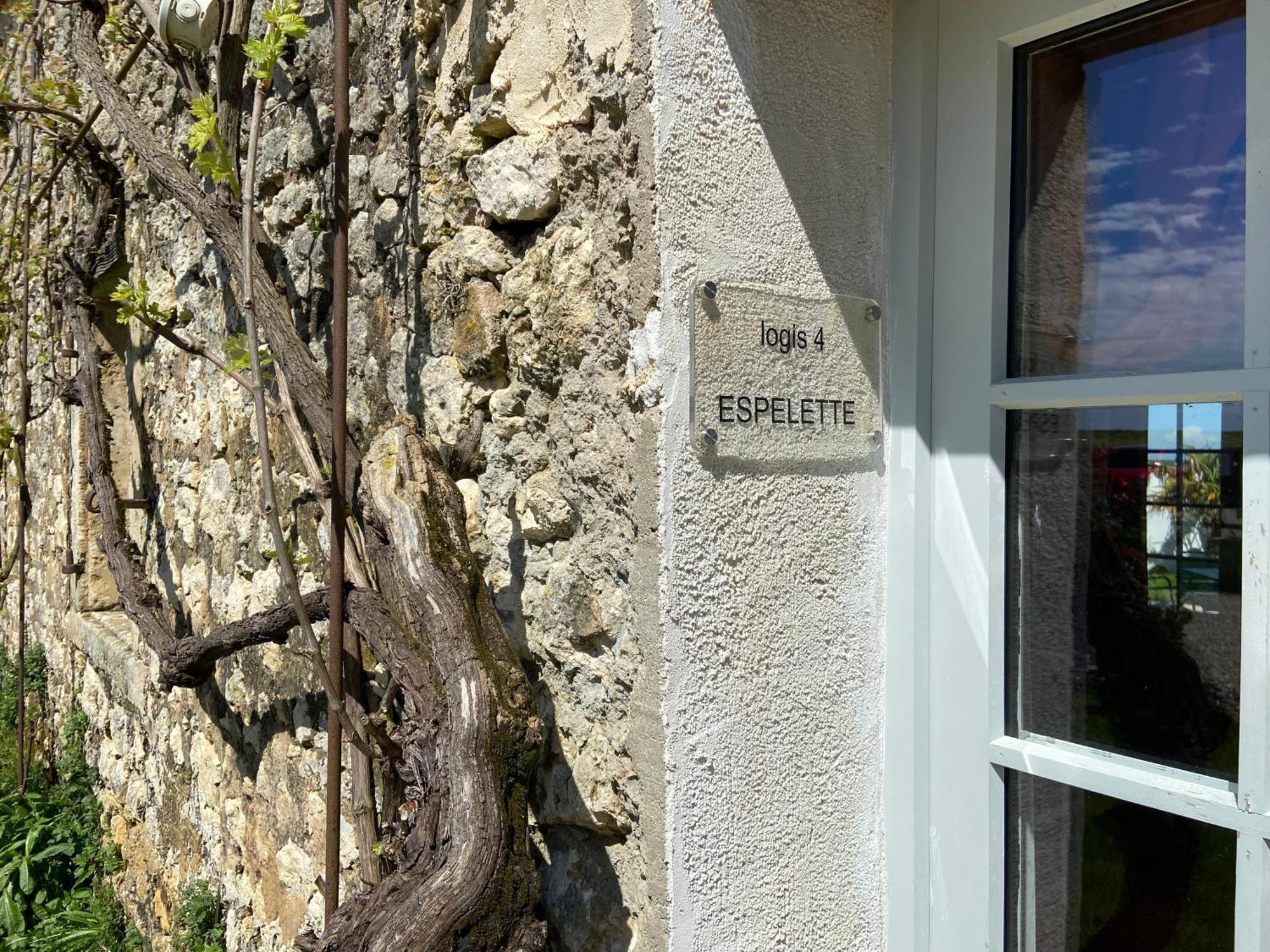 Chateau De Feusse Saint-Just-Luzac Dış mekan fotoğraf